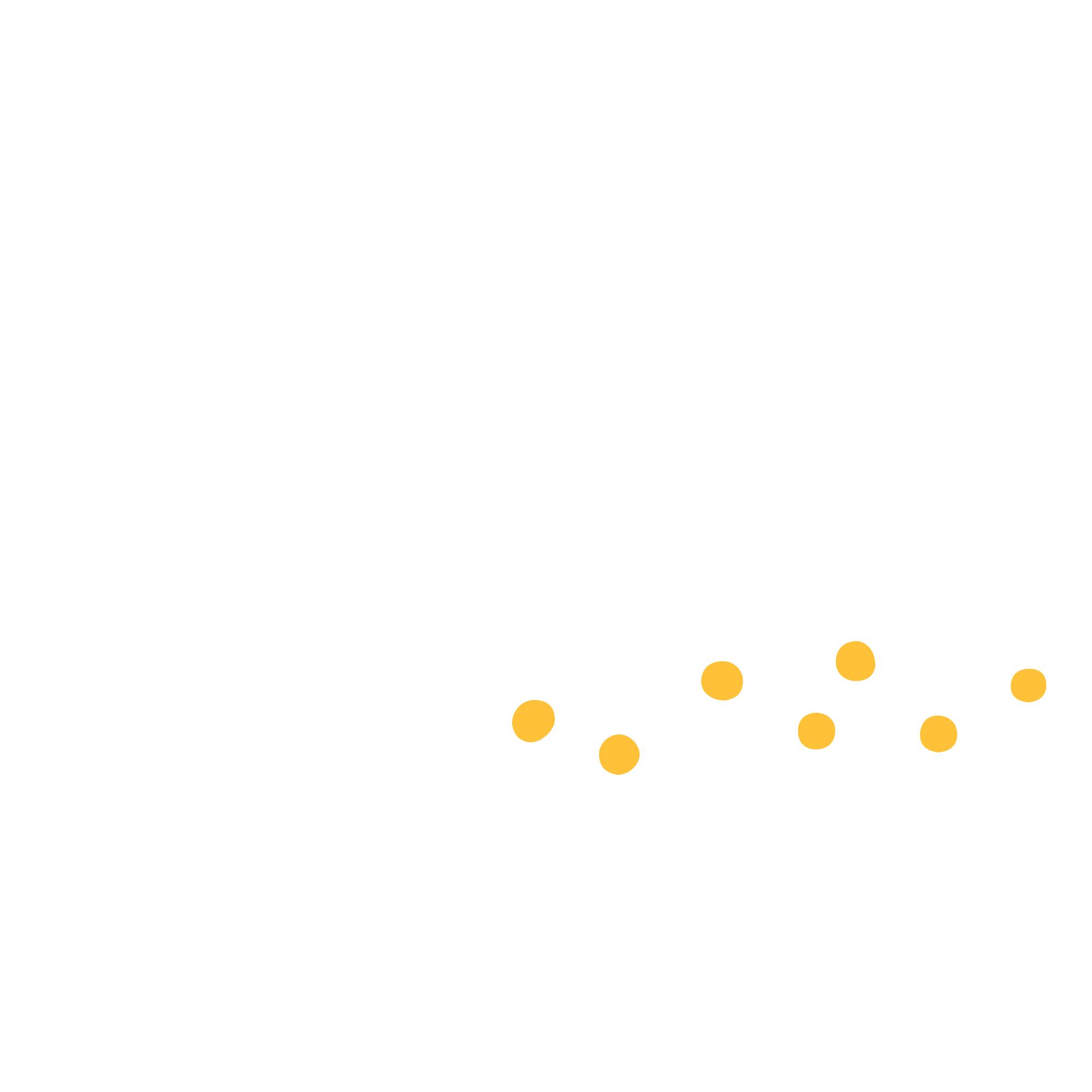 SSJTimer